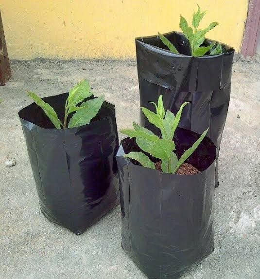 Nursery Bags